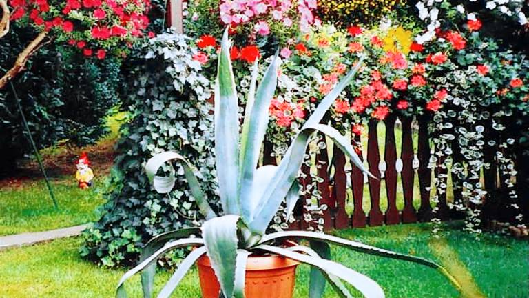 Ferienhaus Struth-Helmershof