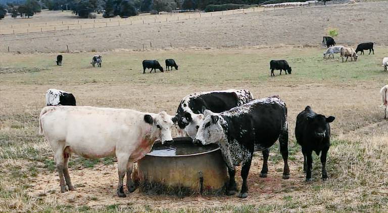 Apartment Yarra Glen