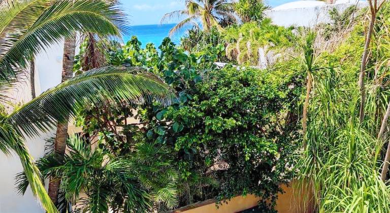 Spacious villa with terrace & pool | Next to the beach | Dogs allowed in Playa del Carmen