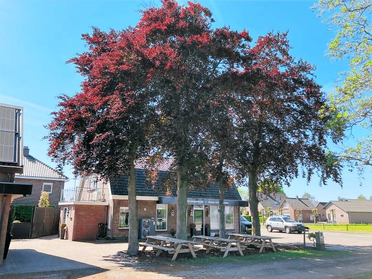 Ferienhaus Barneveld