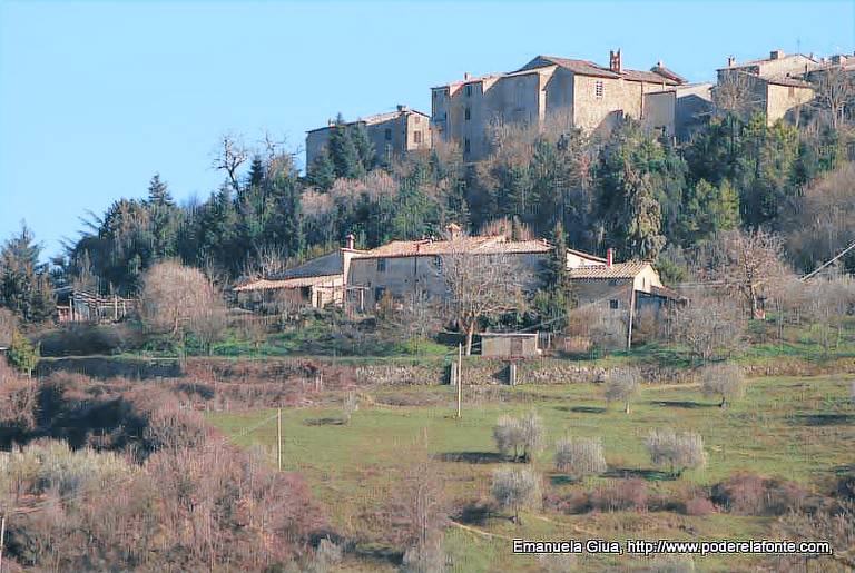 Podere La Fonte: Appartamento Il Susino — photo 2