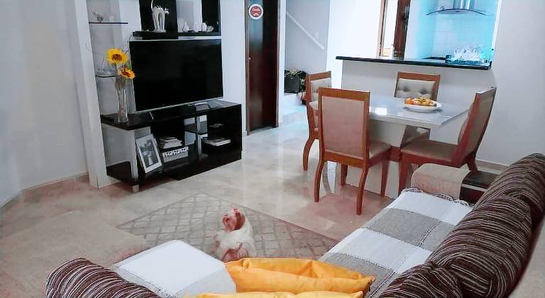 Pousada Rara House — photo 2