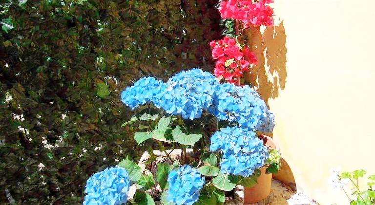 Le Divine - Reception Via XXV Aprile 5 — photo 5