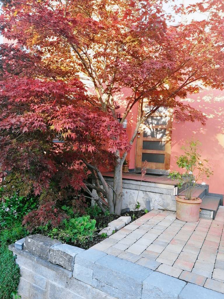 Rental apartment | Dogs allowed — photo 3