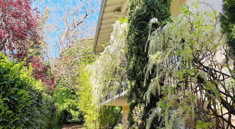 Havre de paix cosy avec jardin proche du centre-ville de Poitiers — photo 4