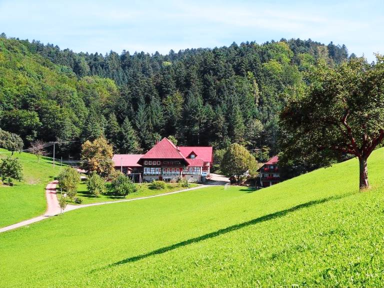 foto3