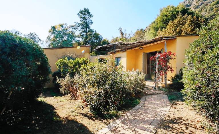 House with patio, yard & grill | Nature view — photo 3