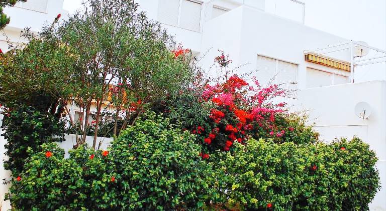 Apartment with pool | Next to the beach | Pets allowed in Playas