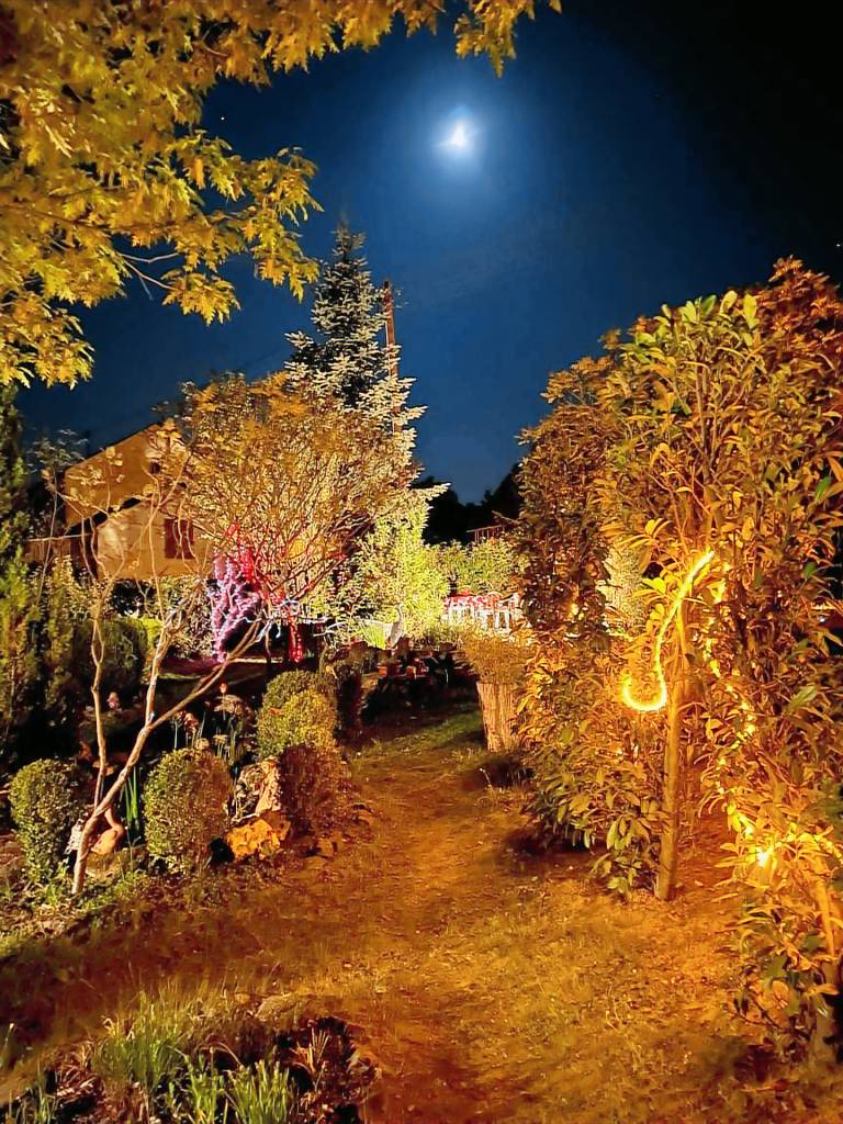 foto4