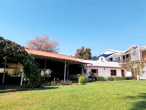 foto6