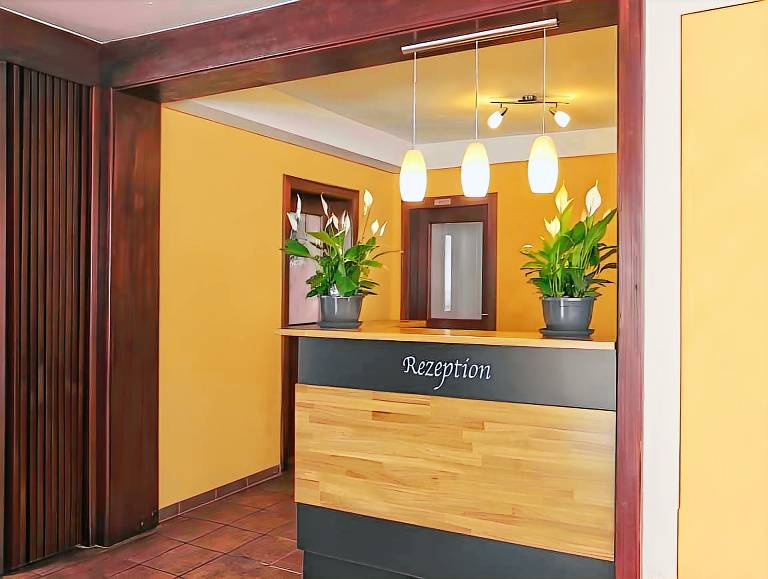Hotel Garni Goldene Traube — photo 5