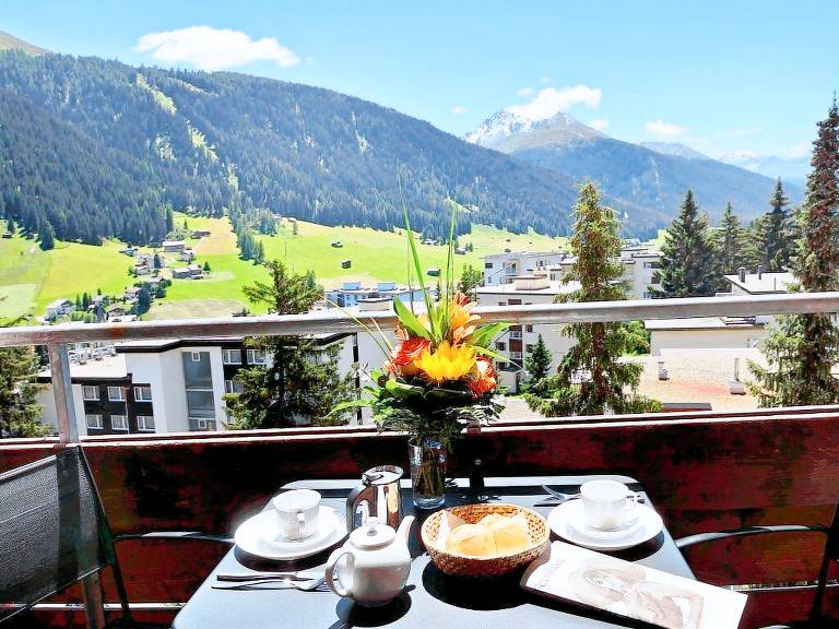 House Davos
