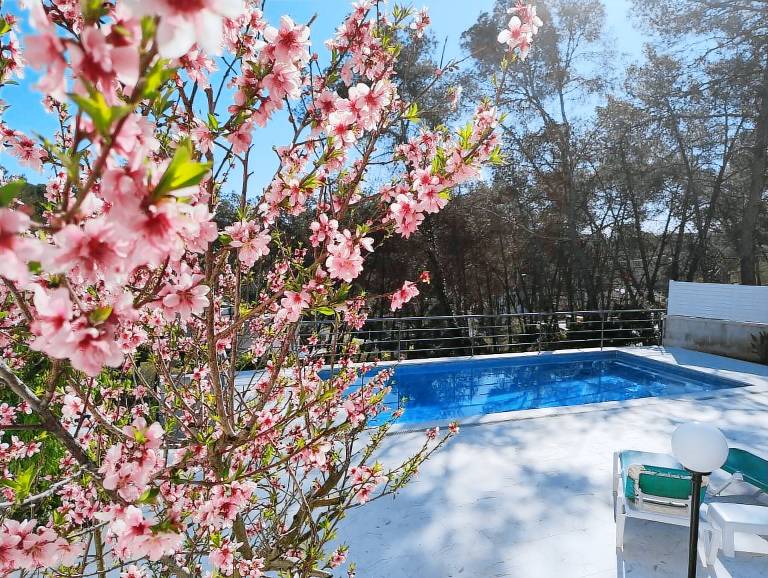 Villa Canyelles