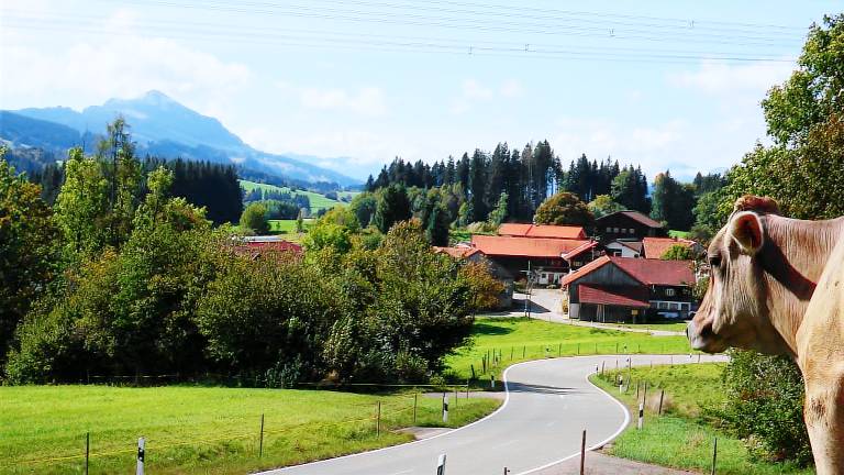 foto2