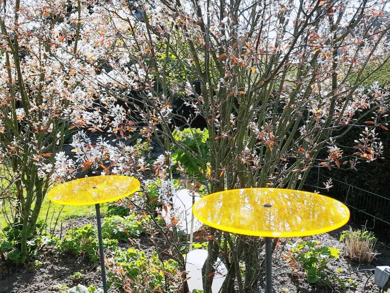 Fully equipped rental apartment with garden, barbeque & sauna | Pets allowed — photo 3