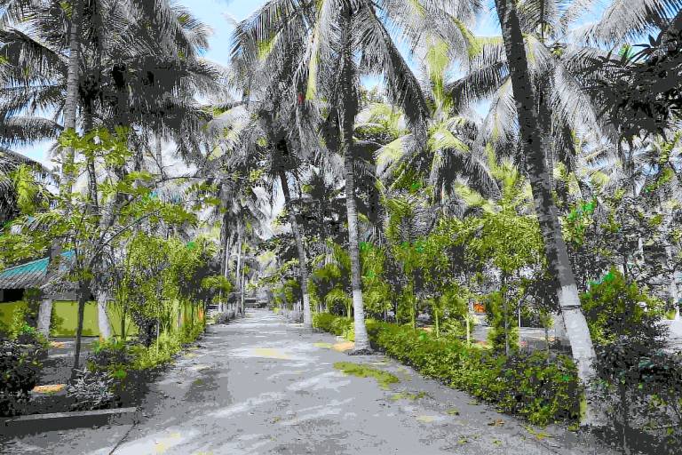 Thavalam resort — photo 3