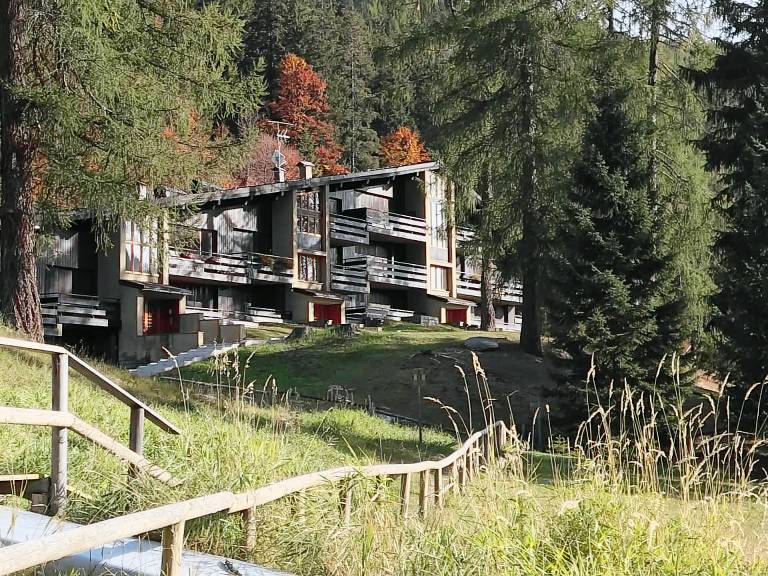 Holiday apartment with garden | Close to the ski | Dogs allowed — photo 2