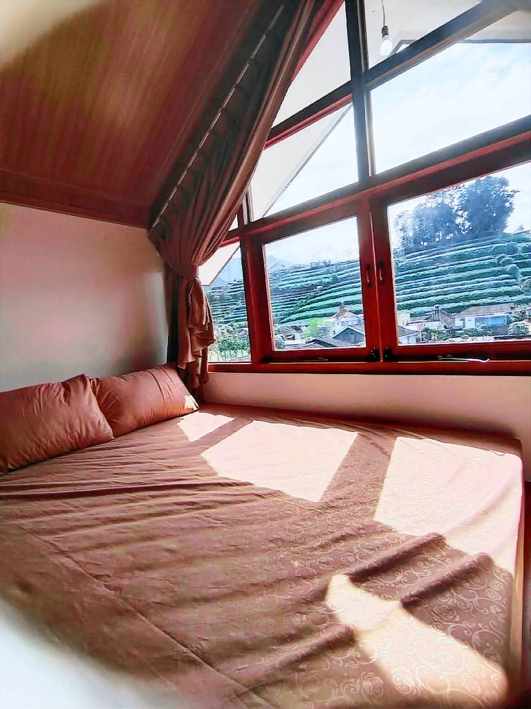 foto8