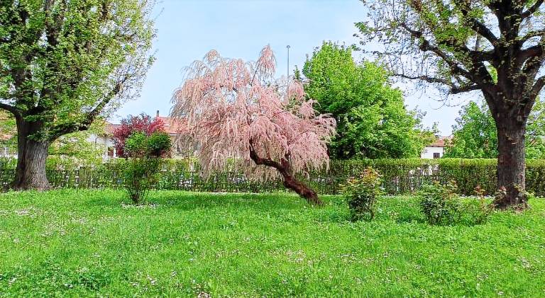 Rental apartment with terrace & garden in Moncalieri