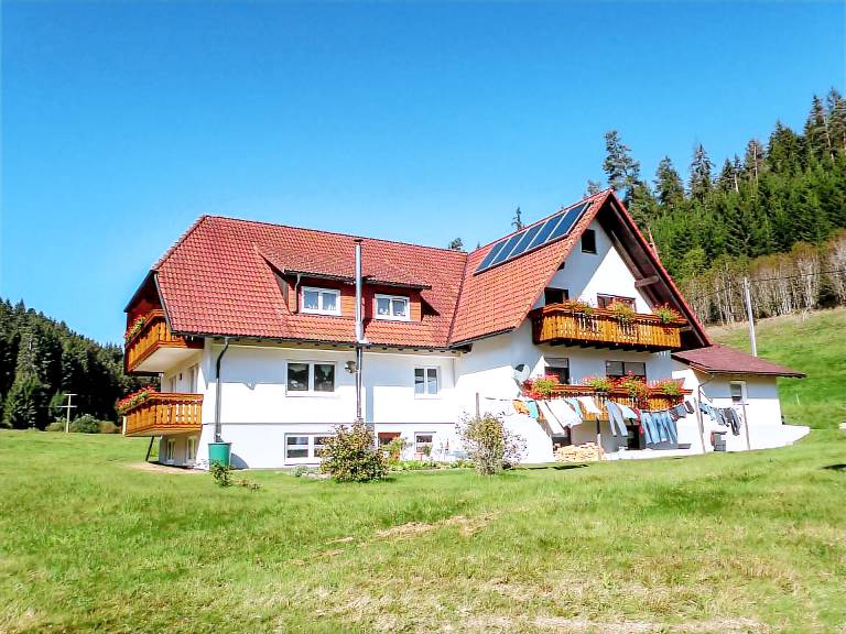 foto3