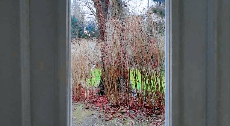 House  Berlin Wannsee