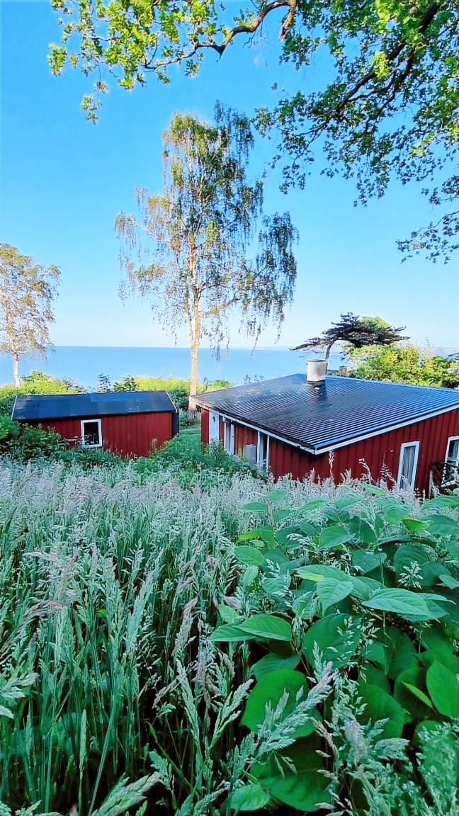 Feriehus Børkop