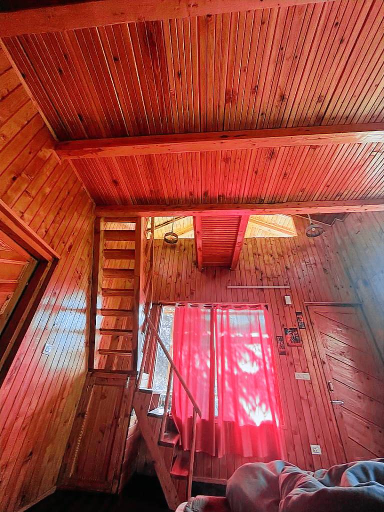 House | Pets are welcome — photo 3
