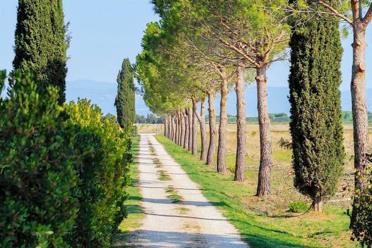 Farm with yard & pool in Castiglione della Pescaia