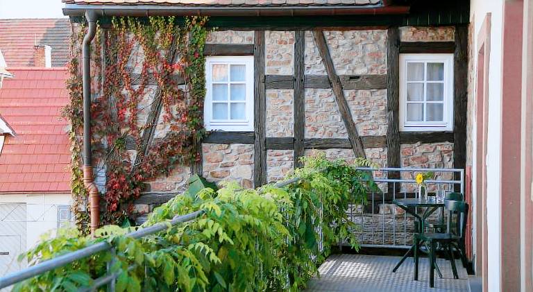 Alter Winzerhof Weisenheim am Berg e. K. — photo 5
