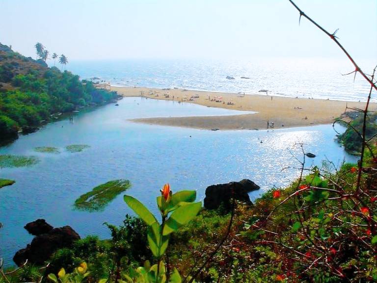 Hotel Arambol Inn — photo 5