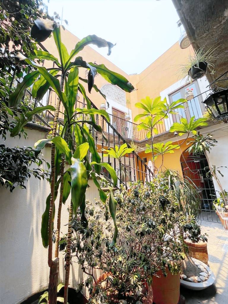 Mesón del Gallo — photo 5