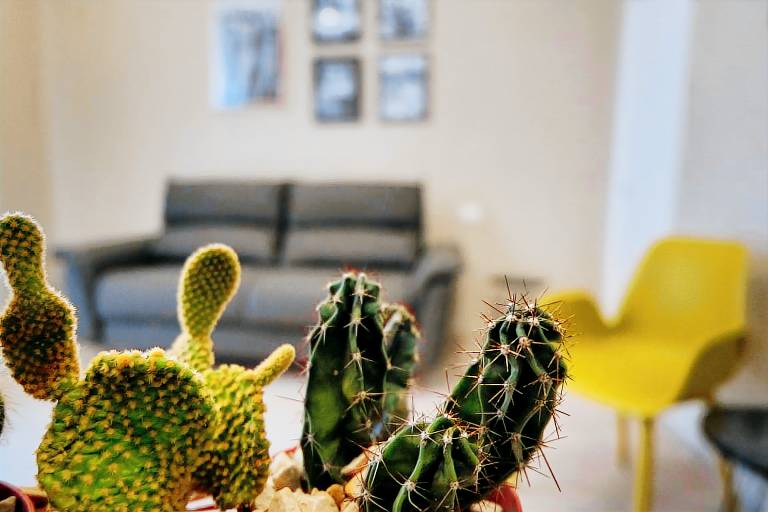 foto1