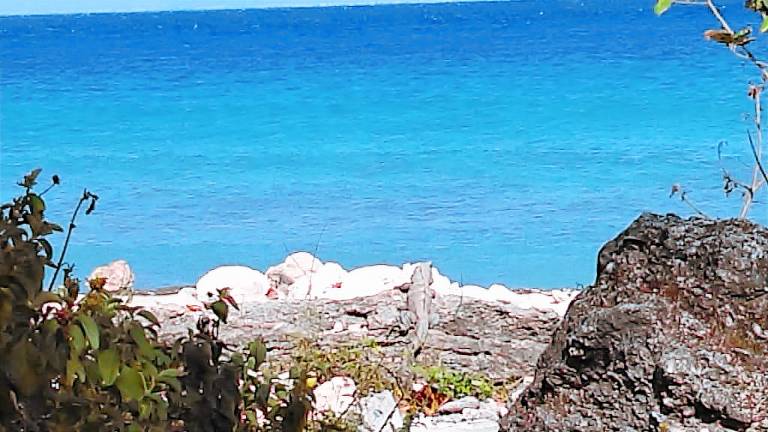 Apartment Cozumel