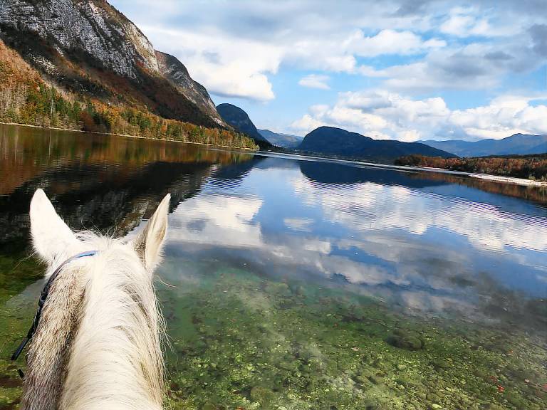 Pension Bohinjska Češnjica