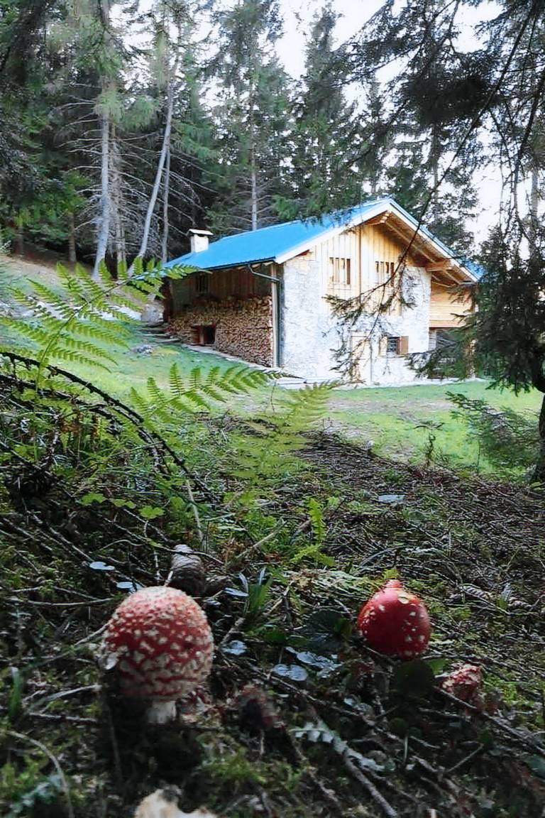 Ferienwohnung in Pieve di Bono, Tiarno di Sotto für max. 3 Personen Ferienwohnung in Pieve di Bono, Tiarno di Sotto für max. 3 Personen