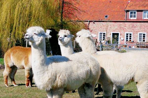 73 m&sup2; Ferienwohnung