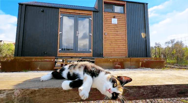 Vacation home | Pet-friendly — photo 5