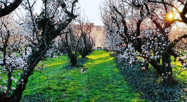 Prenočišče z zajtrkom Ajdovščina