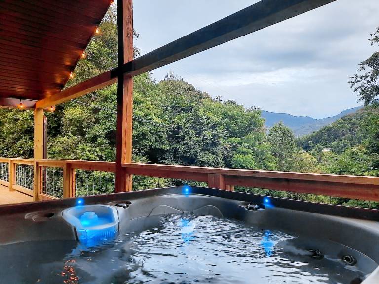 House Bryson City