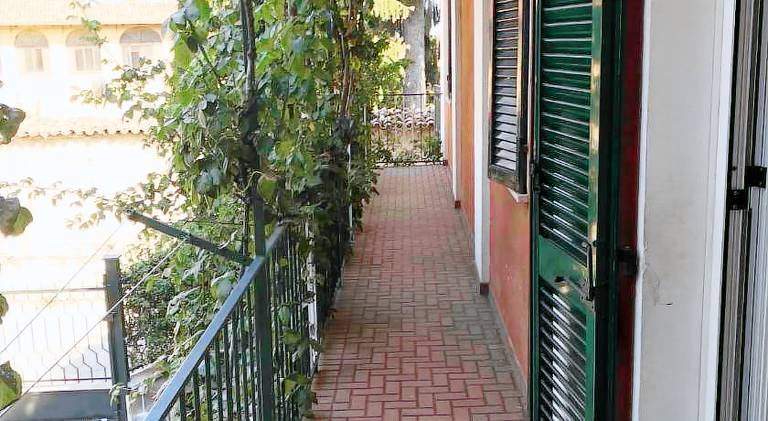 Pleasant holiday apartment | Dogs allowed — photo 4