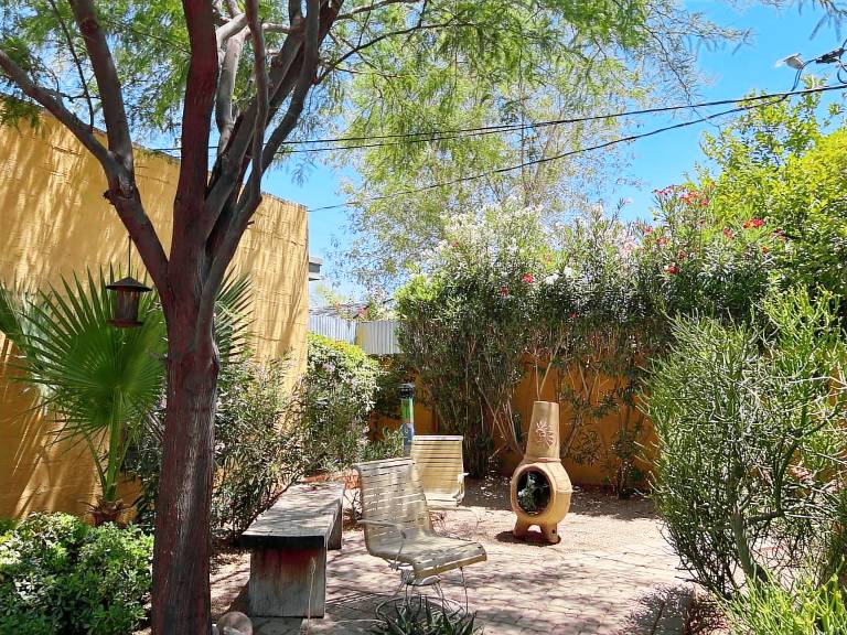 Studio flat  Chandler