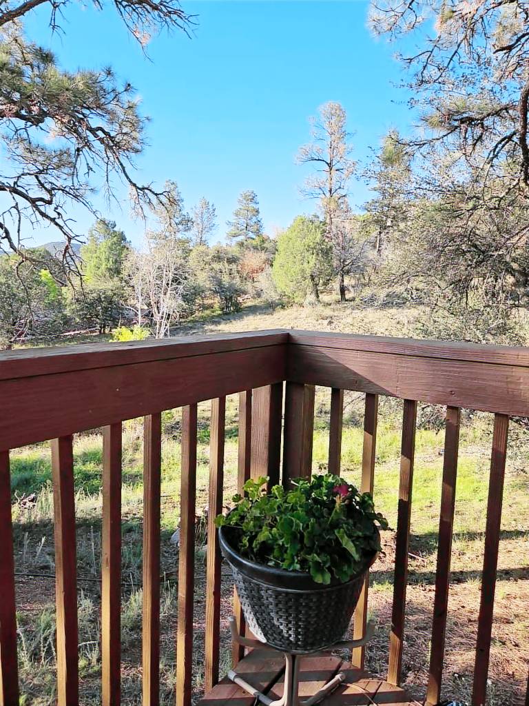 Cabin Prescott