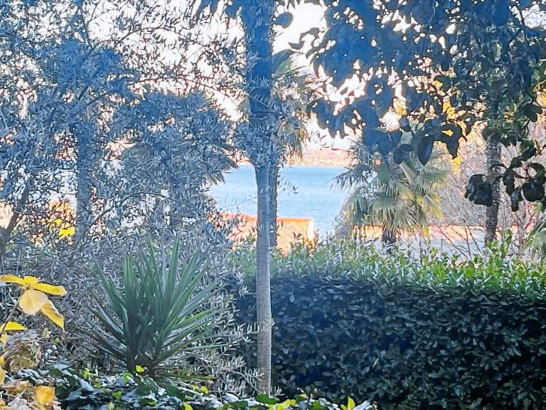 Apartment with terrace, pool & yard | Pool view | Pets allowed — photo 4