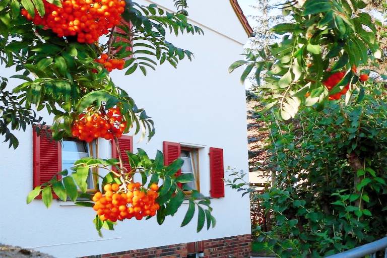 House with 1 room for 4 persons — photo 3