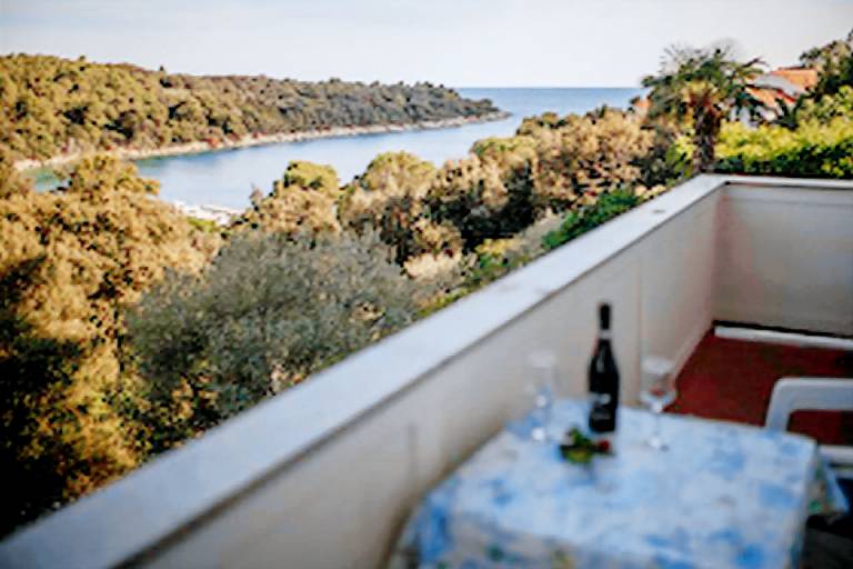 Rental apartment with BBQ, terrace & yard | Sea view in Rab