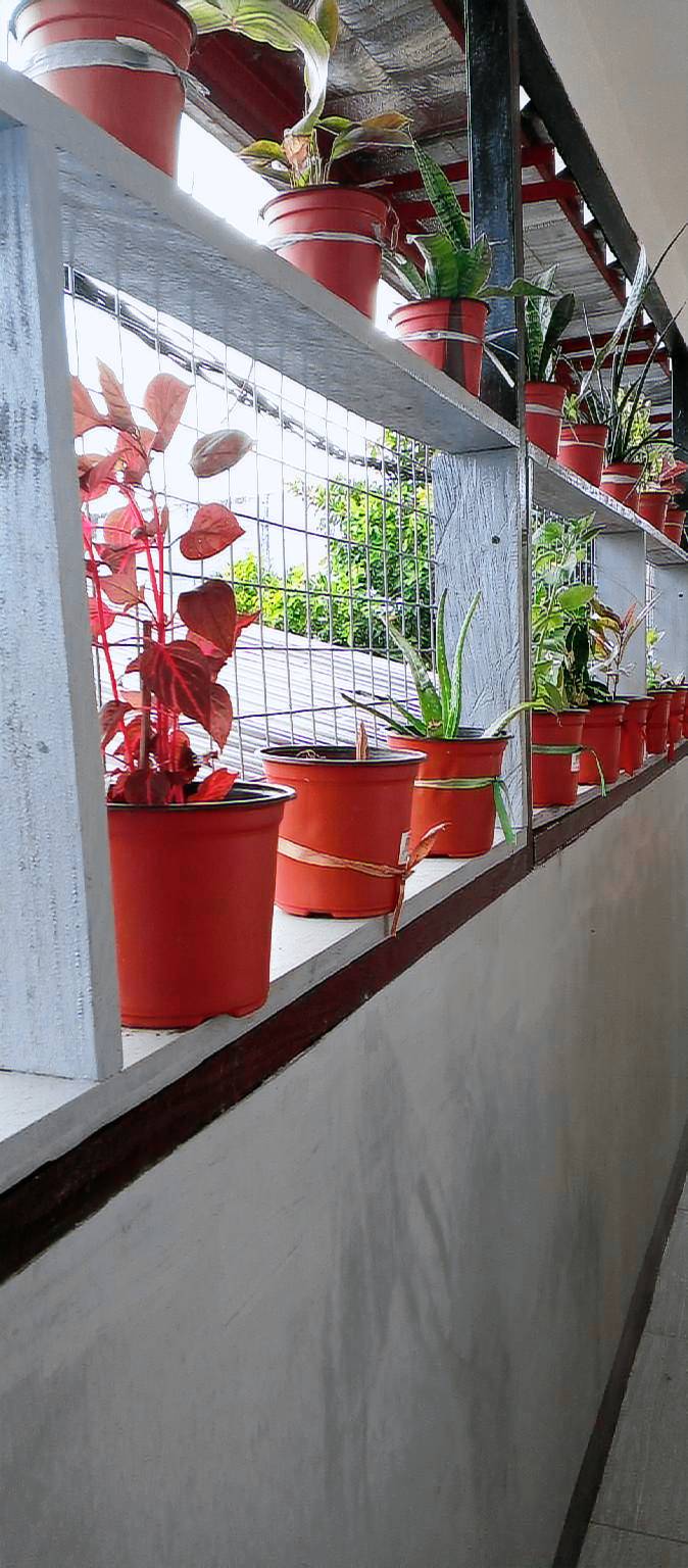 Affordable Home in Iloilo City @4pax — photo 4