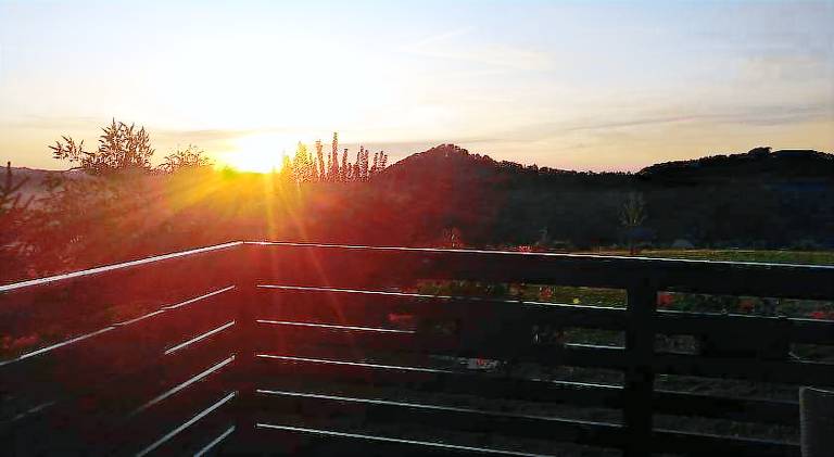 House | Pet-friendly in Maribor