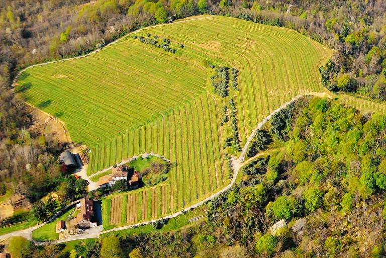 Tenuta Valdomini nelle colline orientali del Friuli: Camera in agriturismo — photo 4