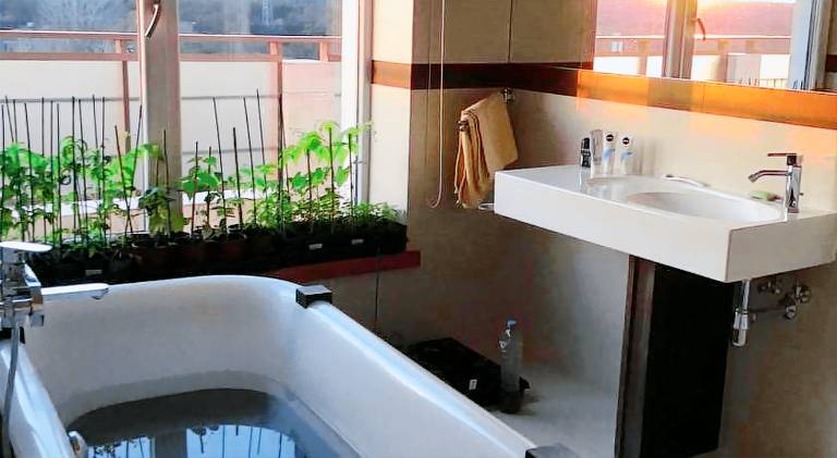 Rental apartment | Pets allowed — photo 4