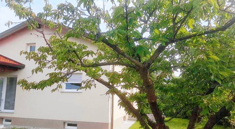 120 m&sup2; Ferienhaus